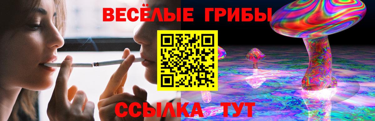 Салехард  Псилоцибиновые грибы ЛСД  закладка  Псилоцибиновые грибы Psilocybine cubensis  Вход с VPN 